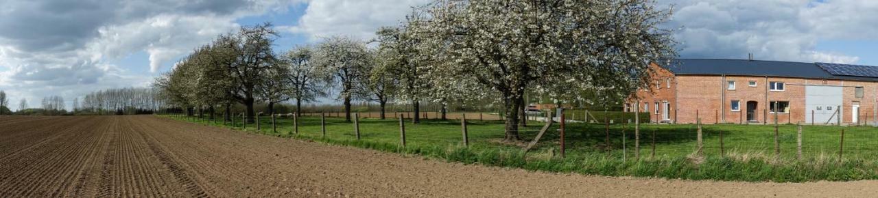 De Smishoeve Met Kinderpret, Dieren En Wellness Heers Exterior photo